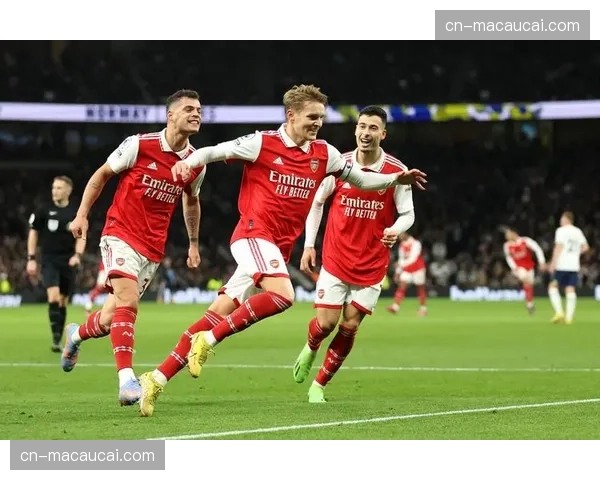 热刺保级战遭遇人员危机 乌多吉波罗丹索集体伤停